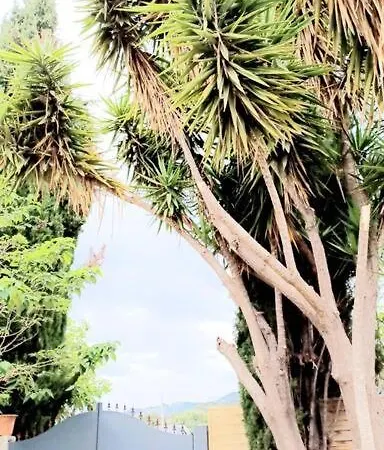 Andre Сasa de vacaciones *